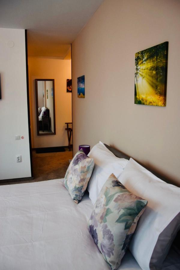 Casa Ankeli Bed & Breakfast Busteni Exterior photo