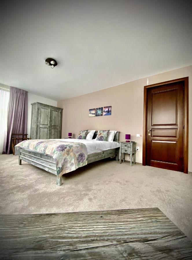 Casa Ankeli Bed & Breakfast Busteni Exterior photo